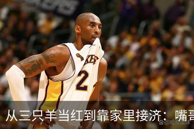 从三只羊当红到靠家里接济：嘴哥这一步，给所有网红提了个醒