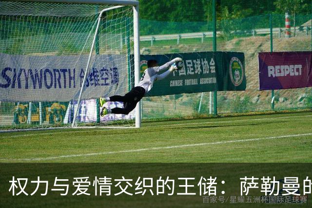 权力与爱情交织的王储：萨勒曼的传奇故事
