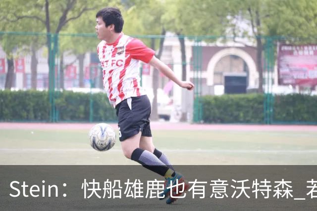 Stein：快船雄鹿也有意沃特森 若无满意合同后者将考虑资质报价